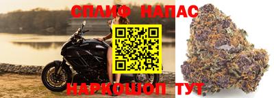 крисы Кимры
